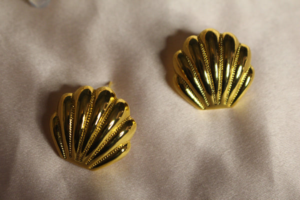 Seashell studs