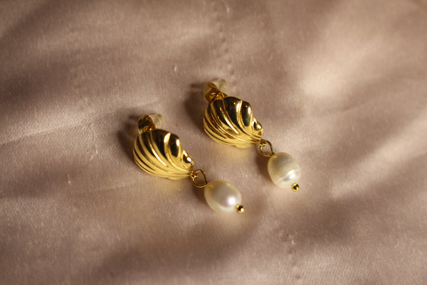 Little Shell Earrings